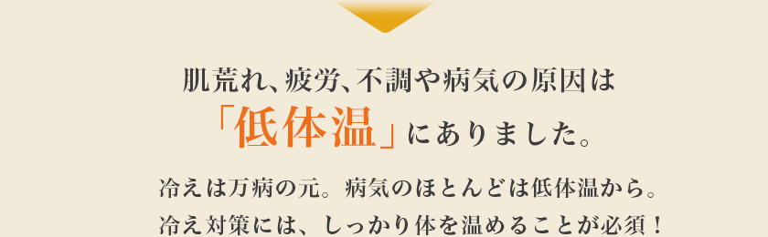 肌荒れ、疲労、不調や病気の原因は「低体温」にありました。冷えは万病の元。病気のほとんどは低体温から。冷え対策には、しっかり体を温めることが必須！